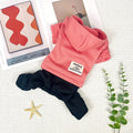 Color Block Small Dog Hoodie – 4-Legged Sweatshirt Machine Washable Polyester Winter Pullover for Small Dogs, XS to XXL, Casual Cozy Pet Sweatshirt in Pink Red Ginger for Cold Weather Outings