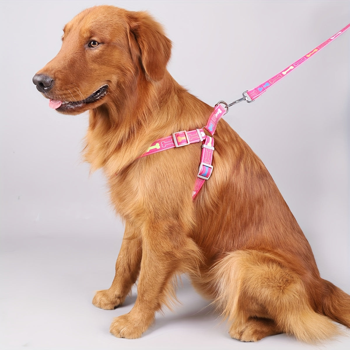 Dog Harness and Leash Set with Bone Pattern - No Pull Triangle Chest Back Vest Harness for Small Medium Large Dogs, Indoor Outdoor Walking, Pink Black Blue Grey, S M L