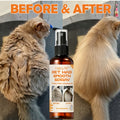 Dog Cat Detangling Spray Leave-In 10-in-1 by FEALUTE - Botanical Oils, Aloe & Vitamin E - Removes Knots, Tames Frizz, Moisturizes, Adds Shine - No Rinse Pet Coat Grooming Mist for All Coat Types