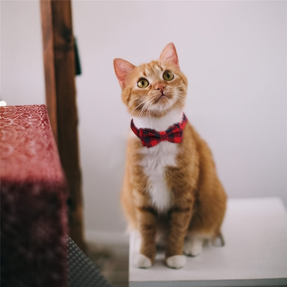 Cat Collars with Bells 4 Pack - Adjustable 7.5-12 Inch Plaid Breakaway Safety Buckle Collar with Bell & Bow for Kittens and Small Dogs, Cute Plaid Pattern, Comfortable Fabric, Multi-Color Set