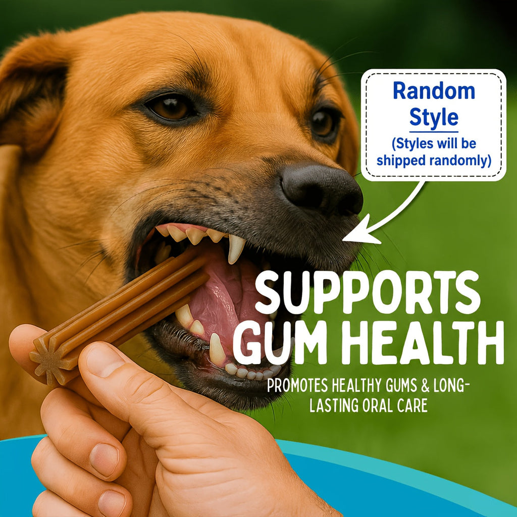 Dog Chewing & Teeth Cleaning Stick Toys 20 Pack - Daily Dental Care Chew Sticks for Small Medium & Large Dog Breeds, Variety Styles Random Mix, Ideal Birthday & Holiday Gift Set