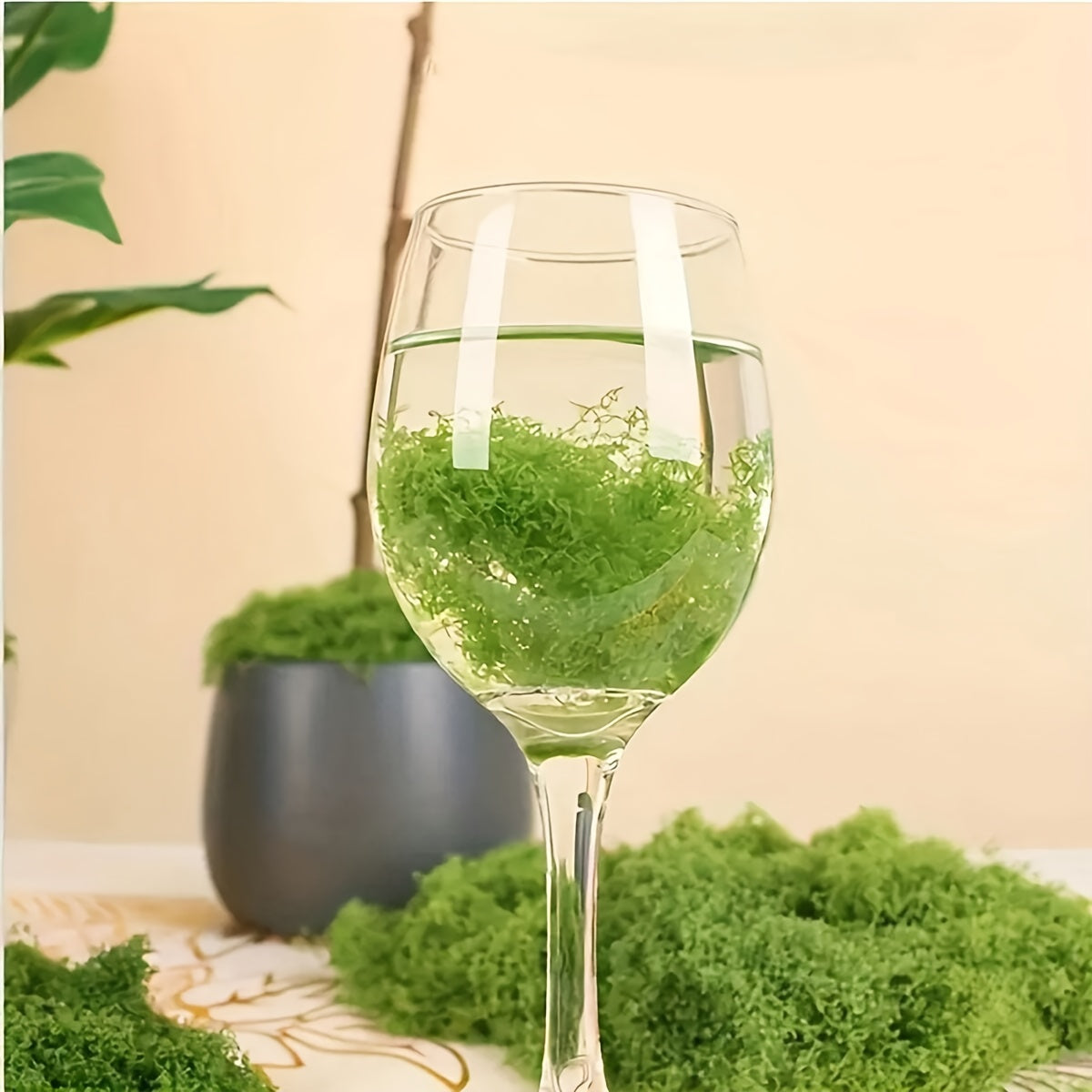 Realistic Artificial Moss for Terrariums Miniatures and Landscapes - Fake Moss for Potted Plants Dollhouse Diorama Model Railroad Aquarium and Miniature Ecosystems, Low Maintenance, 4 Sizes 0.35oz to 3.52oz