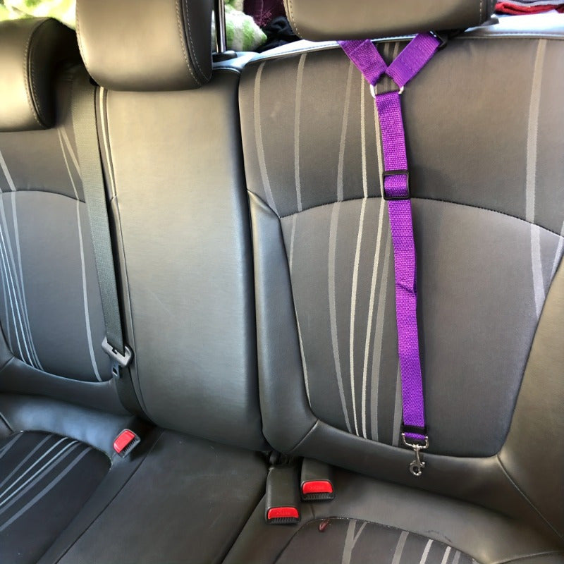 Adjustable Pet Car Seat Belt with 2-in-1 Nylon Leash - Universal Rear Seat Safety Belt for Dogs & Cats, Prevents Distraction & Window Falls During Car Travel, Secure Pet Vehicle Restraint for All Breeds