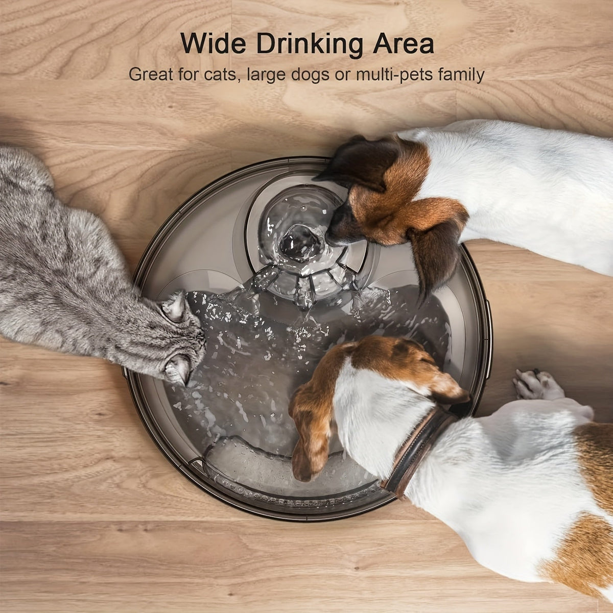 Automatic Dog Water Fountain 1.3 Gallon Large Capacity Pet Water Dispenser with Splatter Guard Cleaning Kit Low Voltage USB for Dogs Cats Multiple Pets