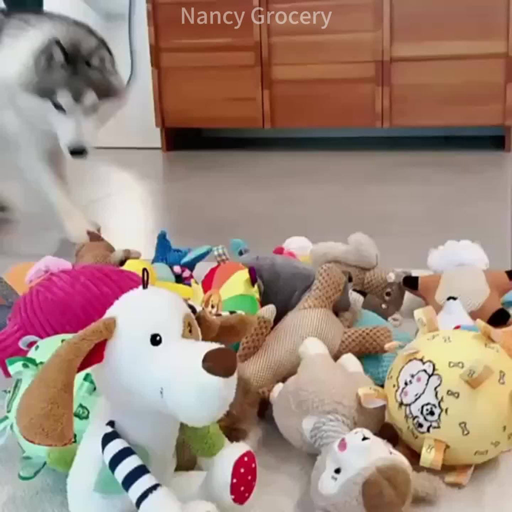 Dog Squeaky Toy Set 5 or 10 Pack - Random Style Interactive Plush Chew Toys for All Breed Sizes, Cute Patterns for Teeth Grinding and Boredom Relief, No Battery Required