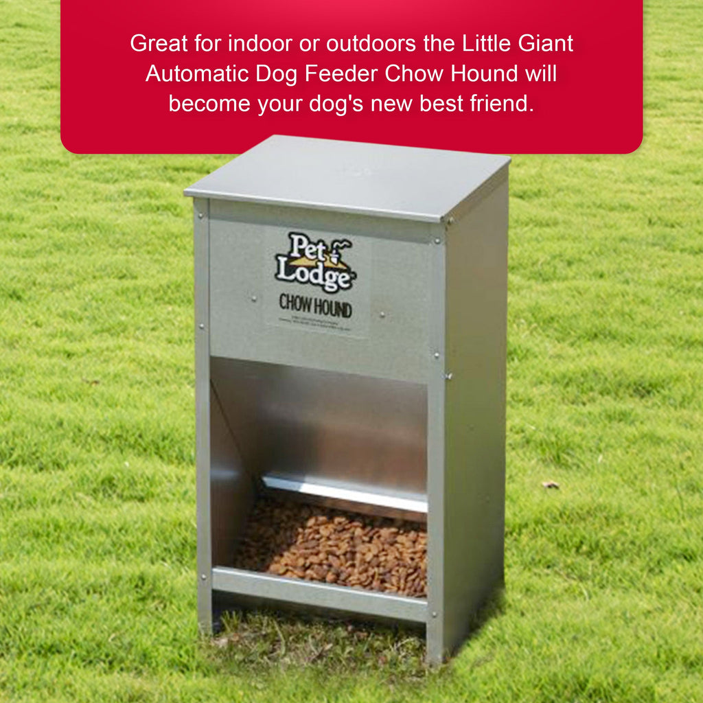 Pet Lodge Automatic Dog Feeder 25 lb - Galvanized Steel Gravity Feeder with Magnetized Door & Angled Chute, Chew-Proof Rust-Resistant, Wall-Mountable Indoor & Outdoor Use, Silver
