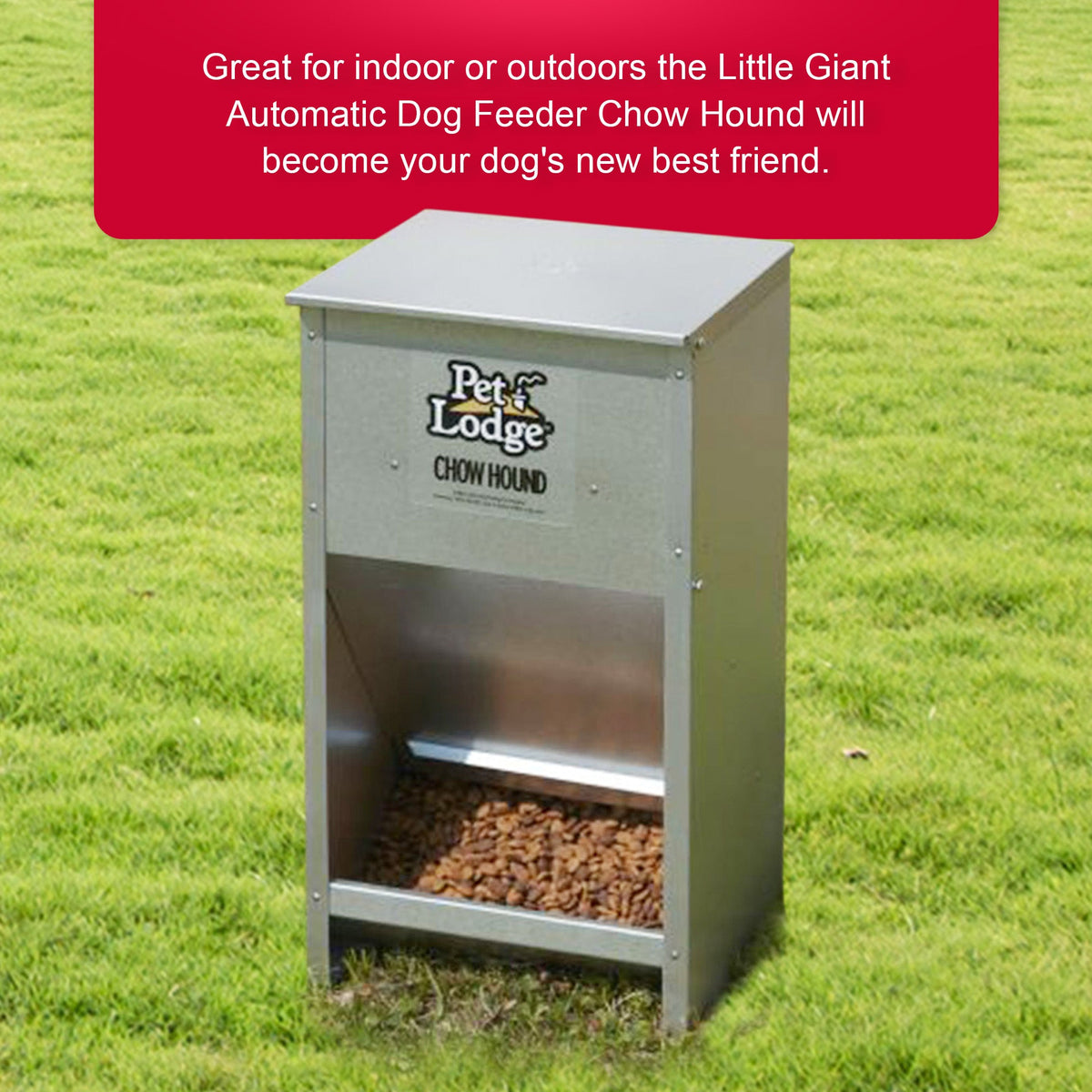 Pet Lodge Automatic Dog Feeder 25 lb - Galvanized Steel Gravity Feeder with Magnetized Door & Angled Chute, Chew-Proof Rust-Resistant, Wall-Mountable Indoor & Outdoor Use, Silver