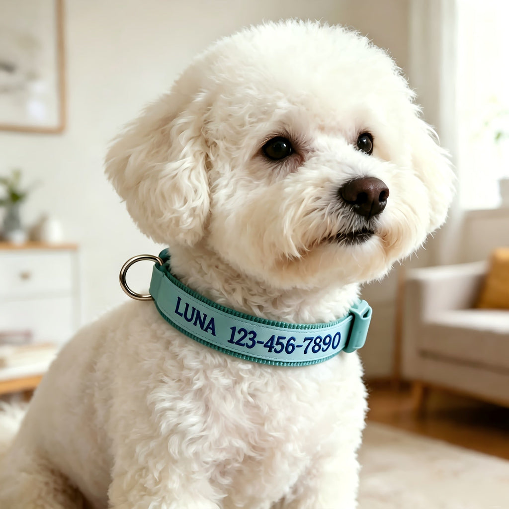 Personalized Glow in the Dark Dog Collar – Custom Embroidered Name & Phone Number, Luminous Night Safety Collar for Small Medium & Large Dogs, Anti-Lost Design in XS/S/M/L, 5 Colors Available