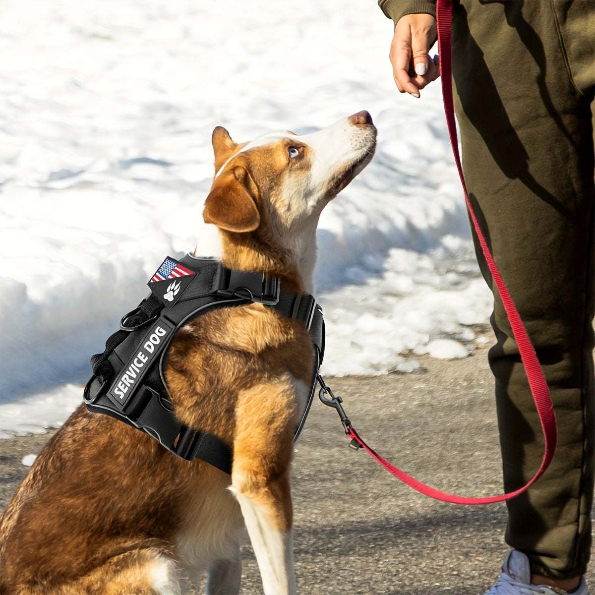 Dog Vest Harness Set with Leash – Adjustable No-Pull Harness Includes 5 Patches, Seat Belt, Collapsible Bowls & Poop Bag Dispenser for Training Walking Hiking XS to XL