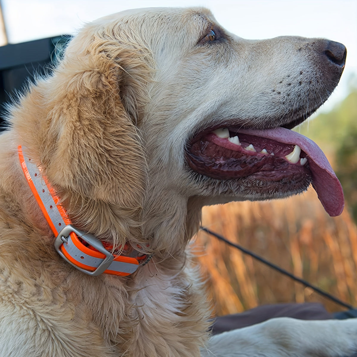 Reflective Waterproof Dog Collar - Biothane Adjustable Collar with Zinc Alloy Buckle & D-Ring, Night Safety Reflective Strip, All Weather Durable Dog Collar