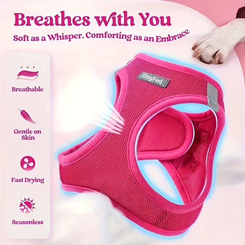 Walk-In Dog Harness and Leash Set for Small Dogs & Puppies - Breathable Mesh Reflective Soft Lightweight Pet Vest Harness, All-Weather No-Pull Dog Harness for Daily Walks & Outdoor Adventures