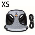 Cat and Dog Vest Harness with Leash Set Anti-Escape Breathable Mesh Pet Harness Anti-Breakaway Adjustable for Cats and Small Dogs Outdoor Walking Training