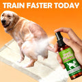 Pet Potty Training Spray for Dogs & Cats - Pheromone-Inspired Indoor Spot Guidance for Puppies & Kittens, Fast-Acting Puppy Pad Attractant, Helps Pets Recognize the Right Bathroom Spot, Clean & Non-Messy Formula