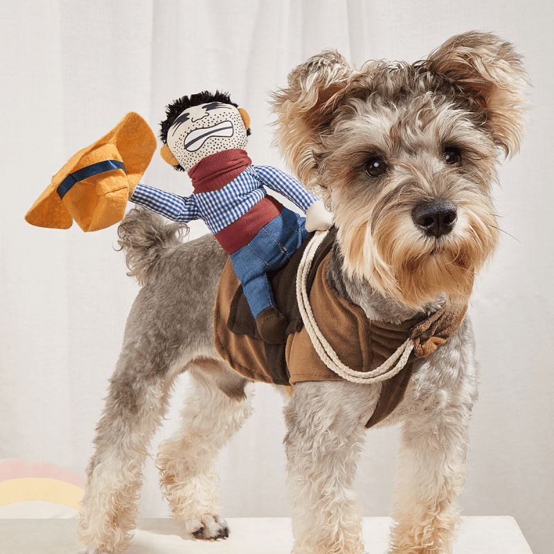 Halloween Dog Costume Cowboy Knight Riding Figure – Funny Quirky Transformation Pet Clothes for Golden Retriever, Teddy & Medium Large Dogs, Halloween Party Dog Outfit