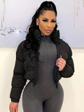 Women's Short Jacket European American Style Autumn Winter Warm Casual Outerwear – Black Rose Red Grey Olive Green Blue Coffee Brown S M L XL XXL