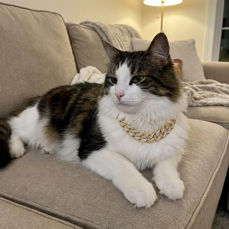 2-Pack Cuban Link Cat Chain Collar Set, Gold & Silver Adjustable Metal Pet Necklace for Cats & Small Dogs, Lightweight Bling Cat Collar Chain, Fashion Pet Jewelry Accessory for Cats