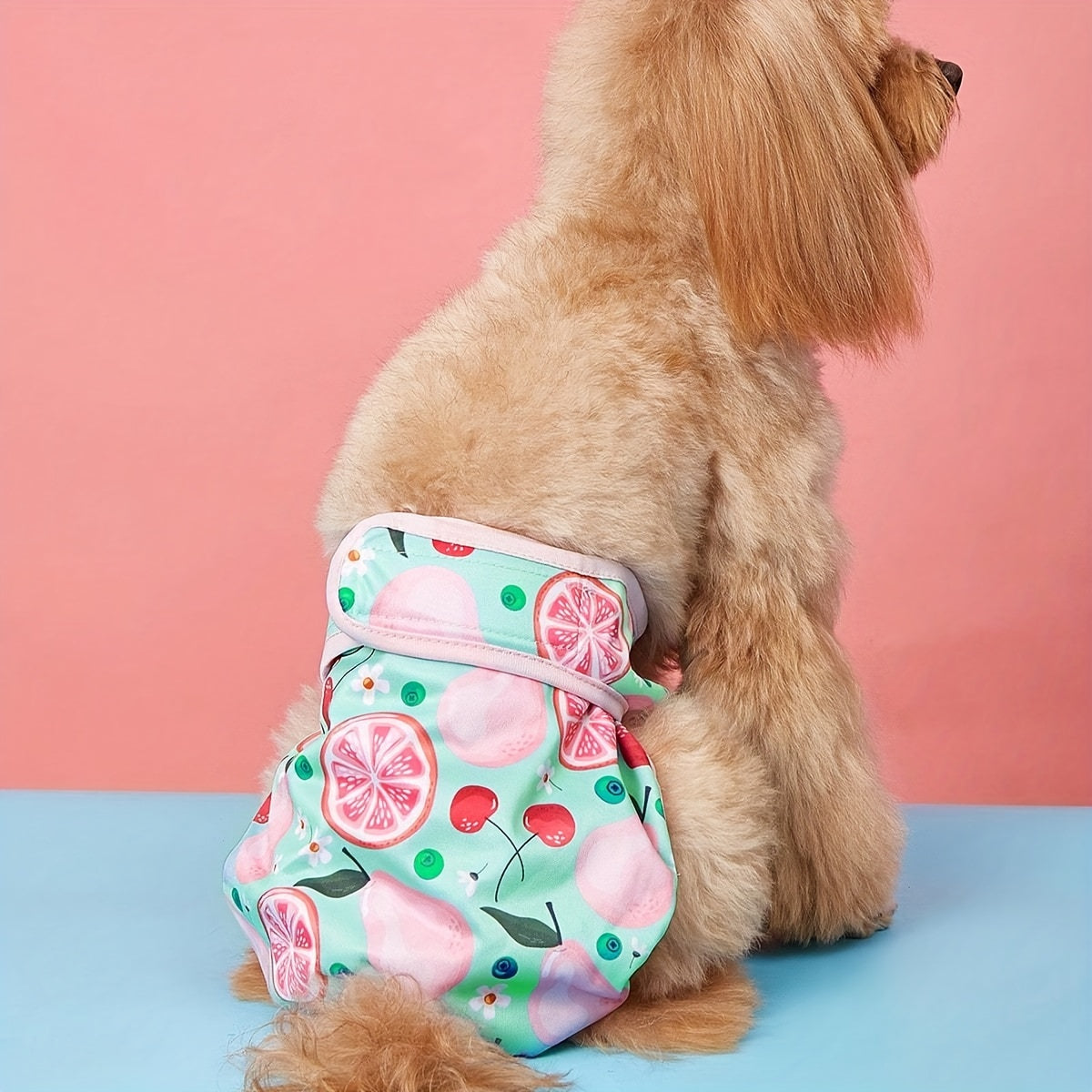 Dog Physiological Pants Washable - Female Dog Menstrual Underwear & Reusable Pet Diaper Panties, Breathable Comfortable Fit for Small Medium Large Dogs, Cute Patterns XS-XL, Dog Heat Cycle & Incontinence Solution
