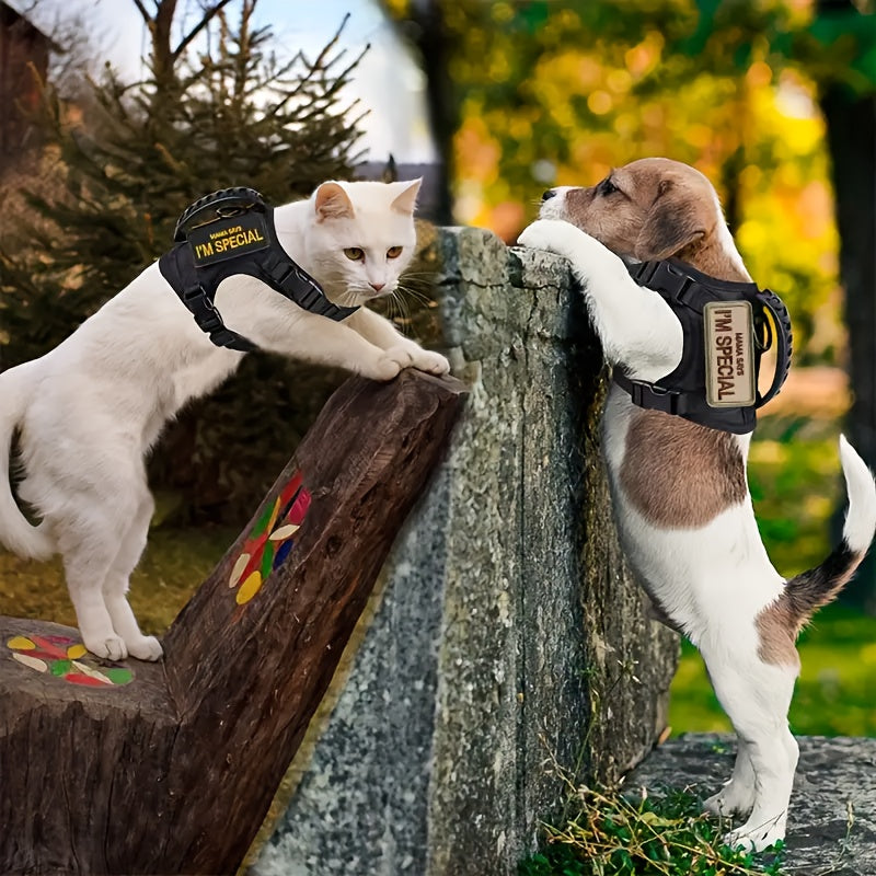 Escape-Proof Cat Harness with Leash – No-Pull Soft Breathable Mesh Vest Harness for Outdoor Cat Walking & Control, Adjustable Secure Fit for Cats of All Sizes