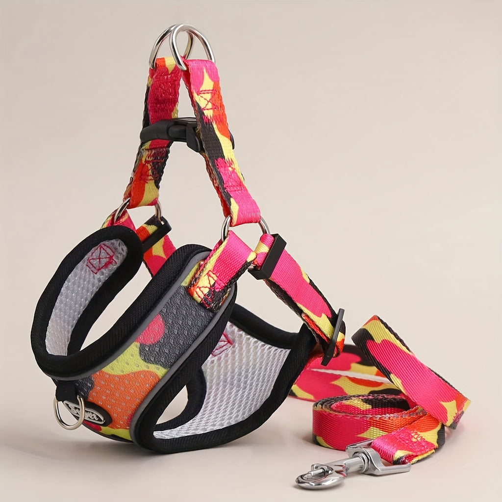 Dog Harness and Leash Set - No Pull Vest Harness for Dogs, Adjustable Reflective Dog Harness for Small Medium Large Dogs, Easy On Off Escape Proof Dog Walking Harness for Indoor Outdoor Use