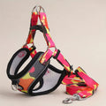 Dog Harness and Leash Set - No Pull Vest Harness for Dogs, Adjustable Reflective Dog Harness for Small Medium Large Dogs, Easy On Off Escape Proof Dog Walking Harness for Indoor Outdoor Use