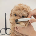 Pet Grooming Kit with Safety Scissors and Face Towel - 2-Piece Rounded-Tip Grooming Set for Cats and Dogs, Removes Tear Stains and Fur Knots, Safe Eye Area Trimming Tool for Pet Care
