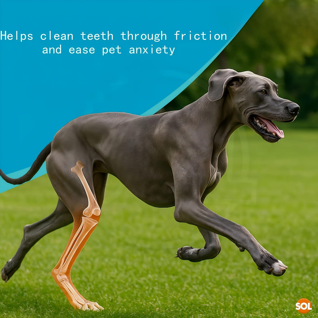 Dog Chewing & Teeth Cleaning Stick Toys 20 Pack - Daily Dental Care Chew Sticks for Small Medium & Large Dog Breeds, Variety Styles Random Mix, Ideal Birthday & Holiday Gift Set
