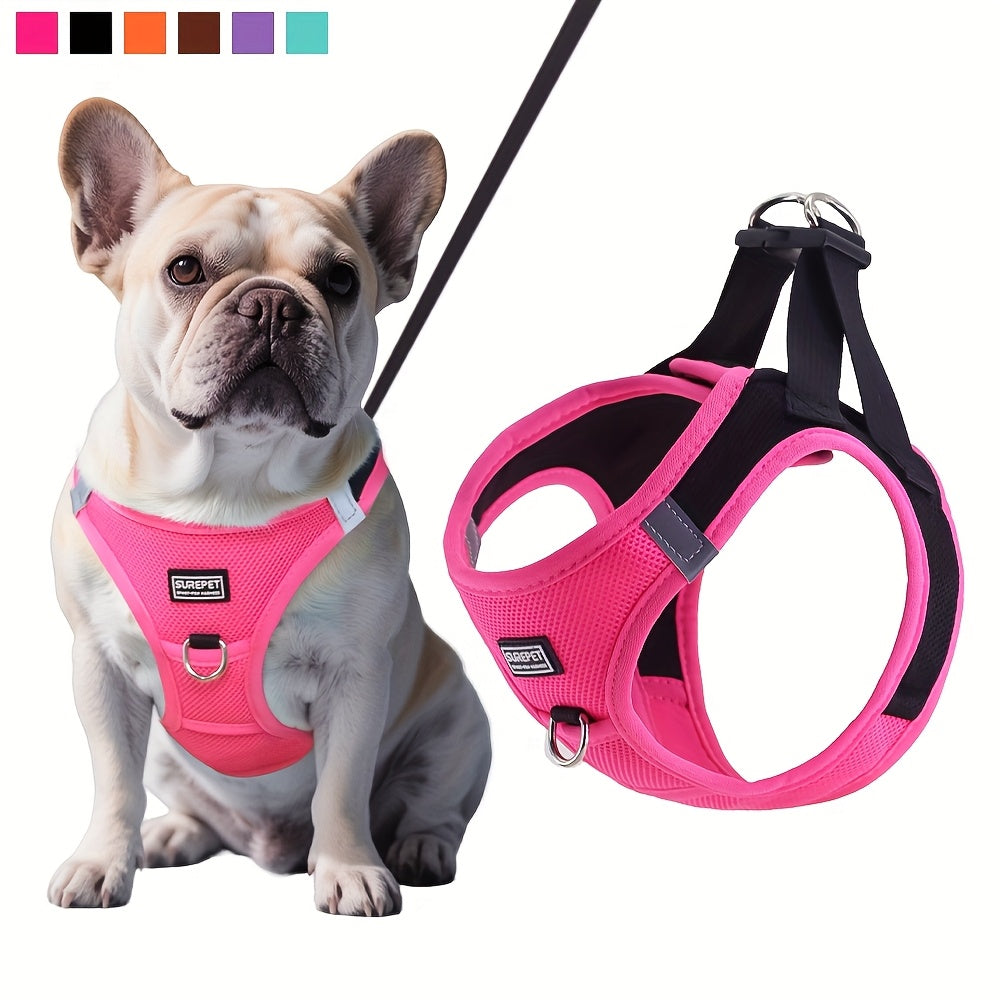 Small Dog Harness and Leash Combo Set - Soft Mesh Step-In Chest Harness for Small Dogs, Comfortable Breathable Pet Vest Harness with Matching Leash for Walking, Jogging & Training