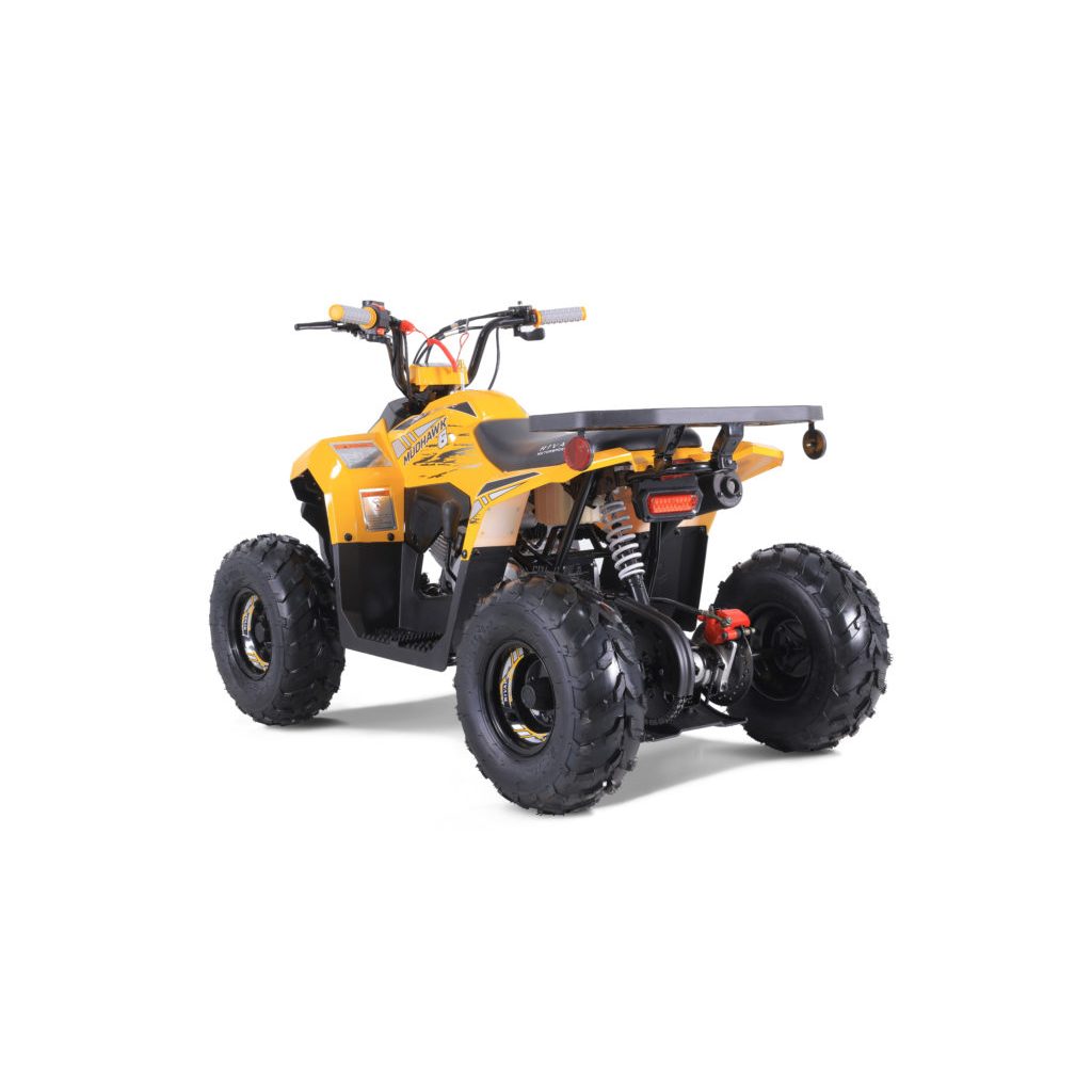 Youth ATV for Kids Ages 6+ – 4-Stroke Engine Automatic D-N-R Transmission, Remote Shut-Off, Speed Limiter, Tether Kill Switch, LED Lights, Front & Rear Brakes – Beginner Kids Quad Bike