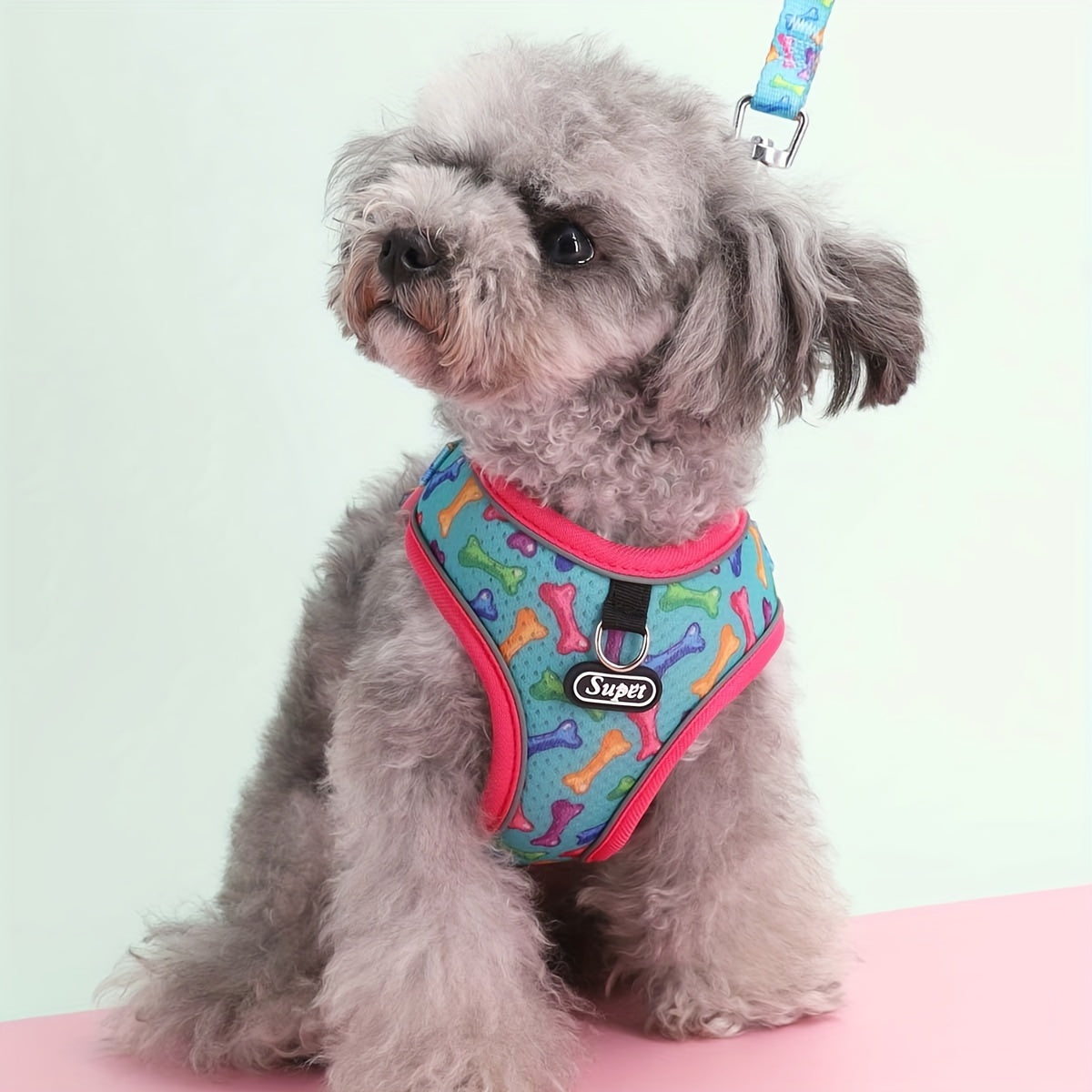 Dog Harness and Leash Set - No Pull Vest Harness for Dogs, Adjustable Reflective Dog Harness for Small Medium Large Dogs, Easy On Off Escape Proof Dog Walking Harness for Indoor Outdoor Use