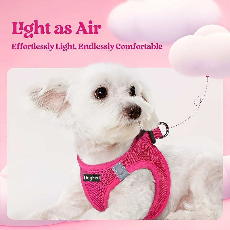 Walk-In Dog Harness and Leash Set for Small Dogs & Puppies - Breathable Mesh Reflective Soft Lightweight Pet Vest Harness, All-Weather No-Pull Dog Harness for Daily Walks & Outdoor Adventures