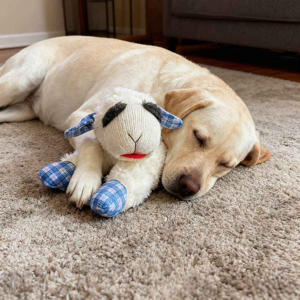 Squeaky Plush Dog Toy with 5 Built-In Squeakers – Calming Stuffed Pet Toy for Small & Medium Dogs, Blue & Red Checkered Fabric Design, Battery-Free No-Electric Anxiety Soothing Chew Toy for Gentle Breeds