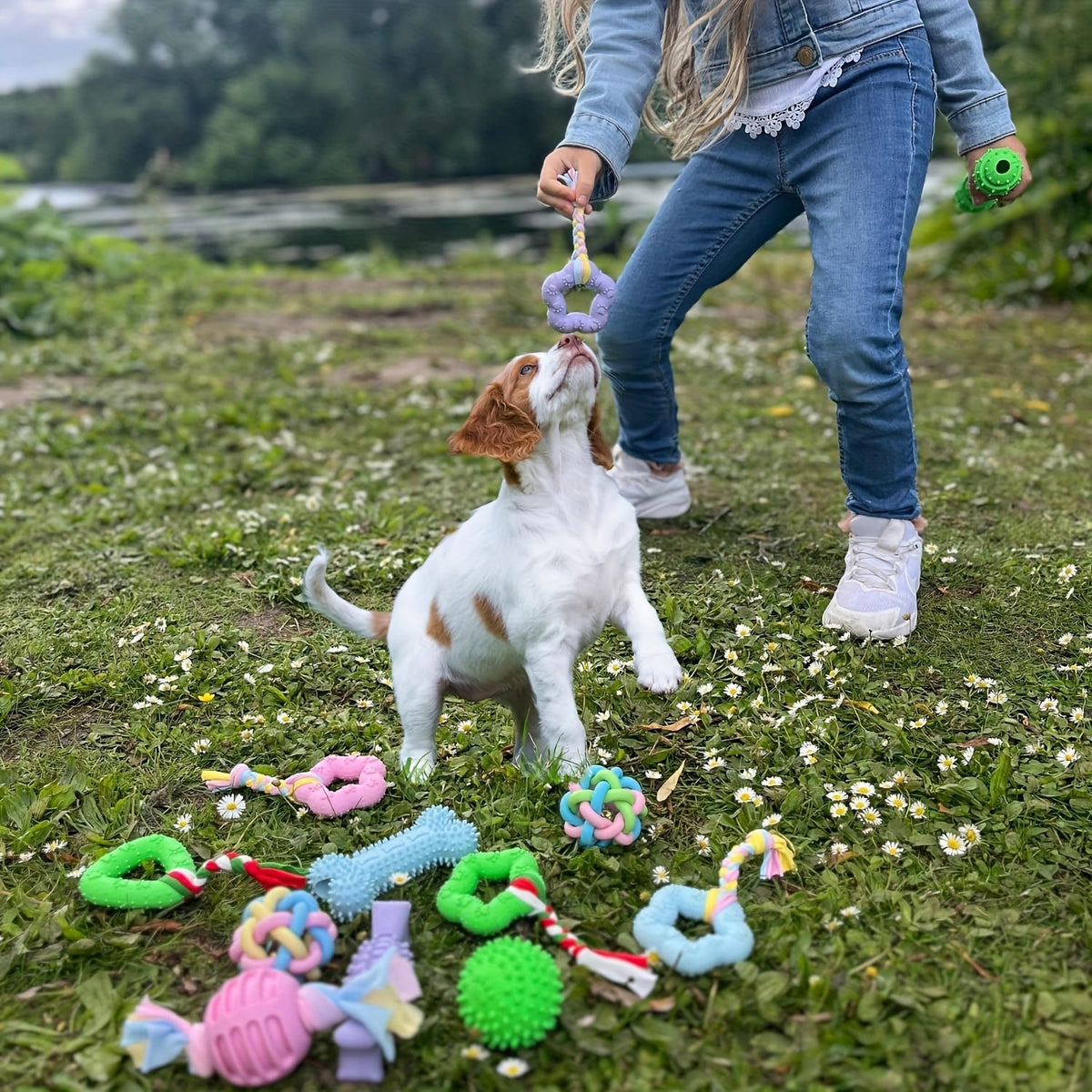 Soft Rubber Dog Chew Toys 6pcs – Teething Toys for Small Dogs, Interactive Teeth Cleaning Chew Set, 4 Colors: Purple, Green, Blue, Pink