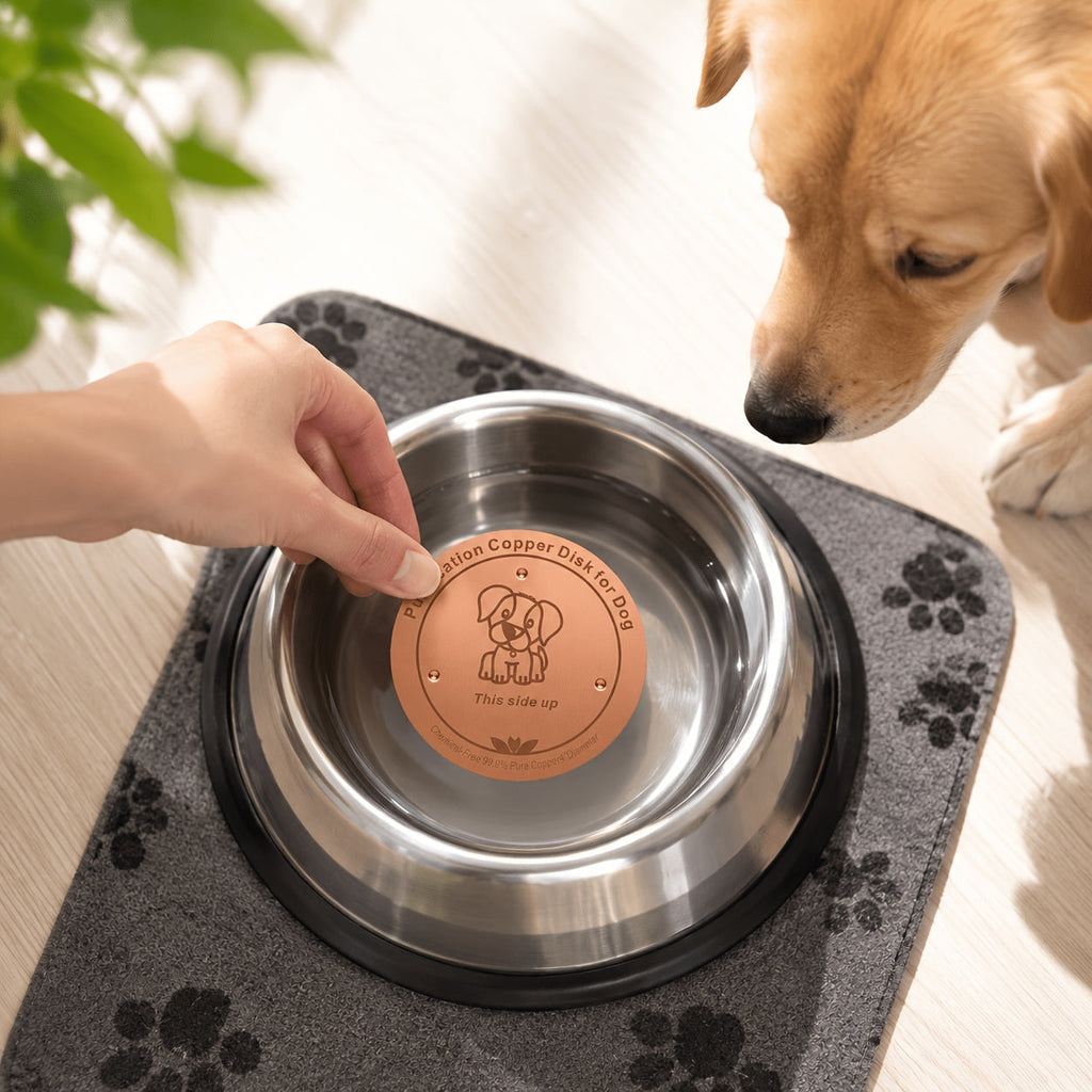 Pure Copper Dog Water Bowl Purification Disk 3.94" - Reusable Copper Bowl Insert for Dogs & Pets Water Purification - Battery-Free Natural Pet Water Cleaner Accessory for Dog Water Bowls