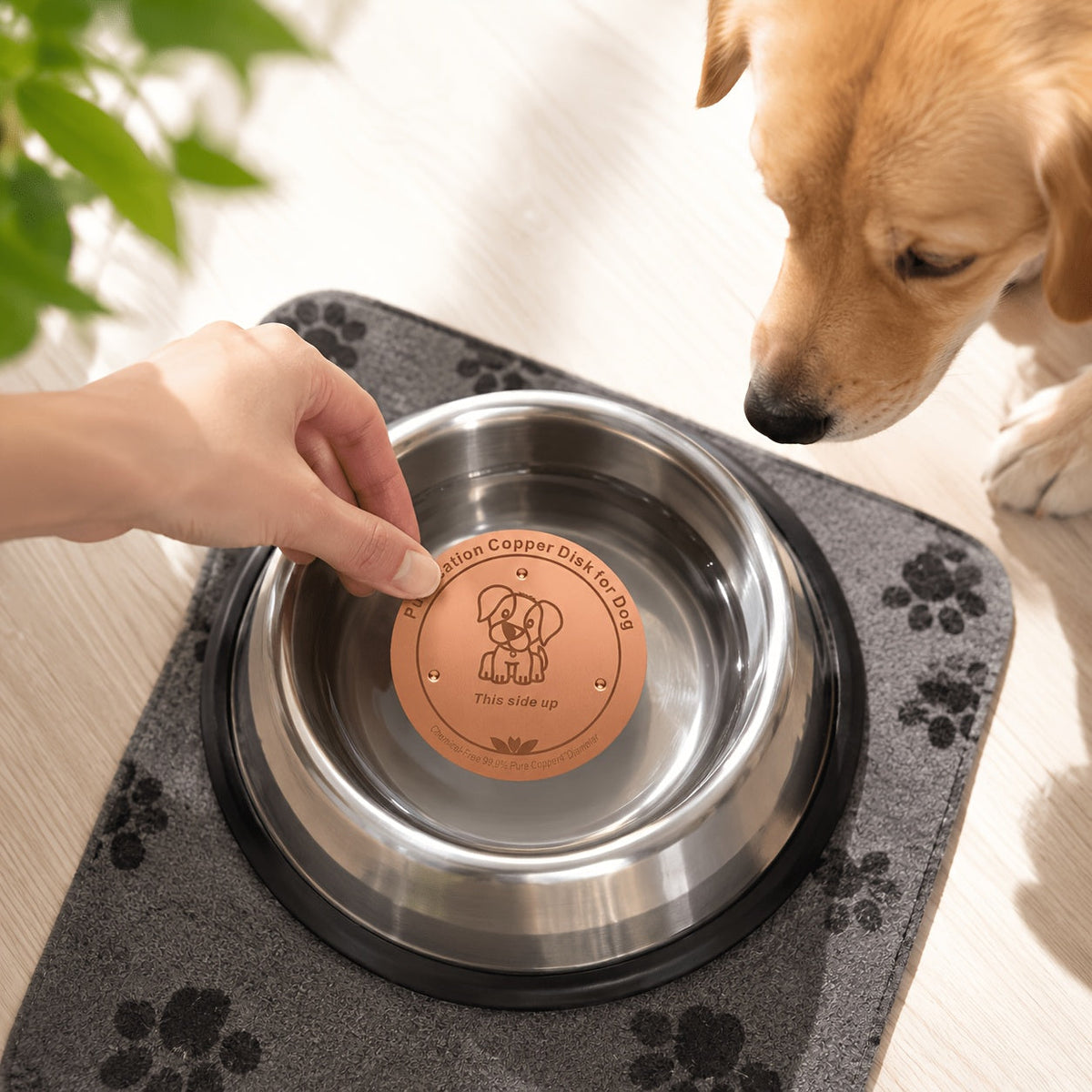 Pure Copper Dog Water Bowl Purification Disk 3.94" - Reusable Copper Bowl Insert for Dogs & Pets Water Purification - Battery-Free Natural Pet Water Cleaner Accessory for Dog Water Bowls