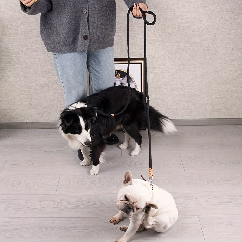 Hands-Free Double Dog Leash Nylon 1 to 2 Splitter - Sturdy Dual Dog Walking Leash for Outdoor Running, Jogging & Walking, No-Tangle Coupler for Small and Medium Dogs, 6 Colors
