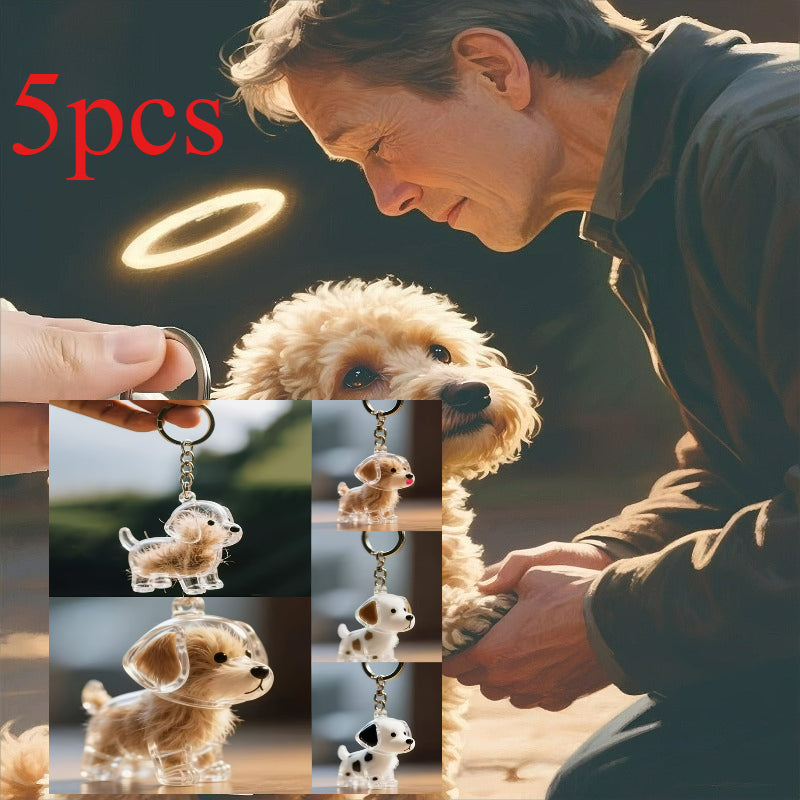 Pet Hair Keepsake Storage Box Set of 5 – Transparent Dog & Cat Fur Memorial Pendant Display Cases, Cute Pet Souvenir Jewelry Gift for Christmas, Halloween & Birthday
