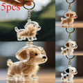 Pet Hair Keepsake Storage Box Set of 5 – Transparent Dog & Cat Fur Memorial Pendant Display Cases, Cute Pet Souvenir Jewelry Gift for Christmas, Halloween & Birthday
