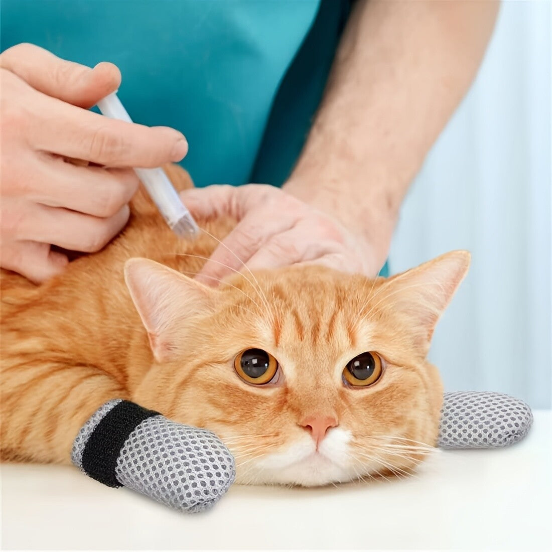 8-Pack Anti-Scratch Pet Boots for Cats & Dogs, Breathable Mesh Non-Slip Paw Covers with Elastic Straps, Adjustable Pet Socks for Nail Trimming, Bathing, Grooming & Furniture Scratch Protection